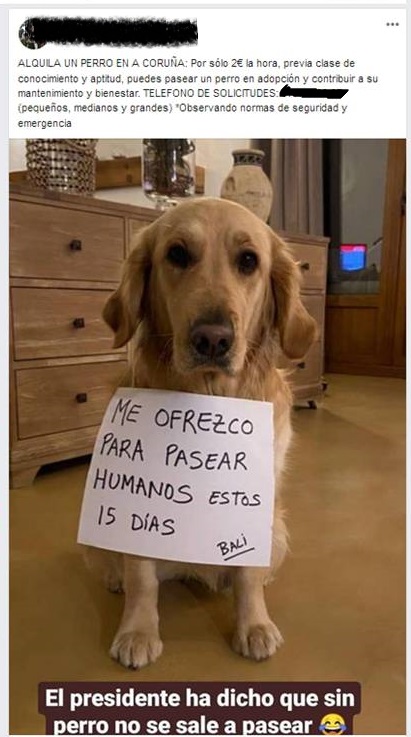 Denunciado un hombre que alquilaba a sus perros para 